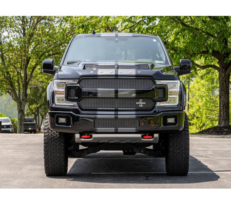 2019 Ford Shelby F-150 4x4